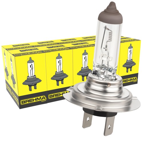 10x brehma 24v - 10x, px26d